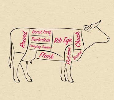 { Nr. 32 } Nose to Tail