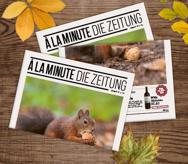 https://issuu.com/remimag/docs/22_02_alaminute_web?fr=xKAE9_zMzMw _blank