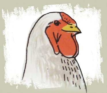 { Nr. 13 } Schweizer Poulet