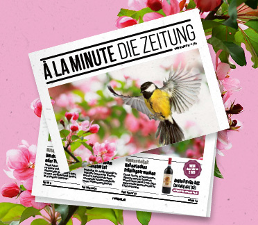 https://issuu.com/remimag/docs/_la_minute_fr_hling_01_26?fr=xKAE9_zMzMw _blank
