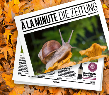 https://issuu.com/remimag/docs/_la_minute_herbst_02_25?fr=xKAE9_zMzMw _blank